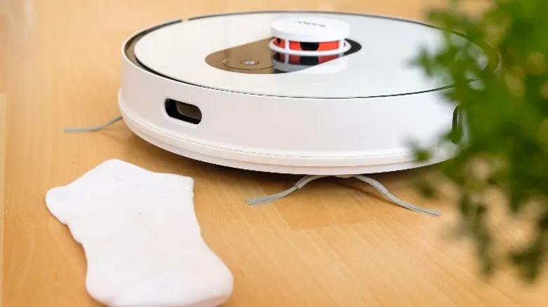 Robot hút bụi dừng lại trước chiếc tất trắng trên sàn gỗ