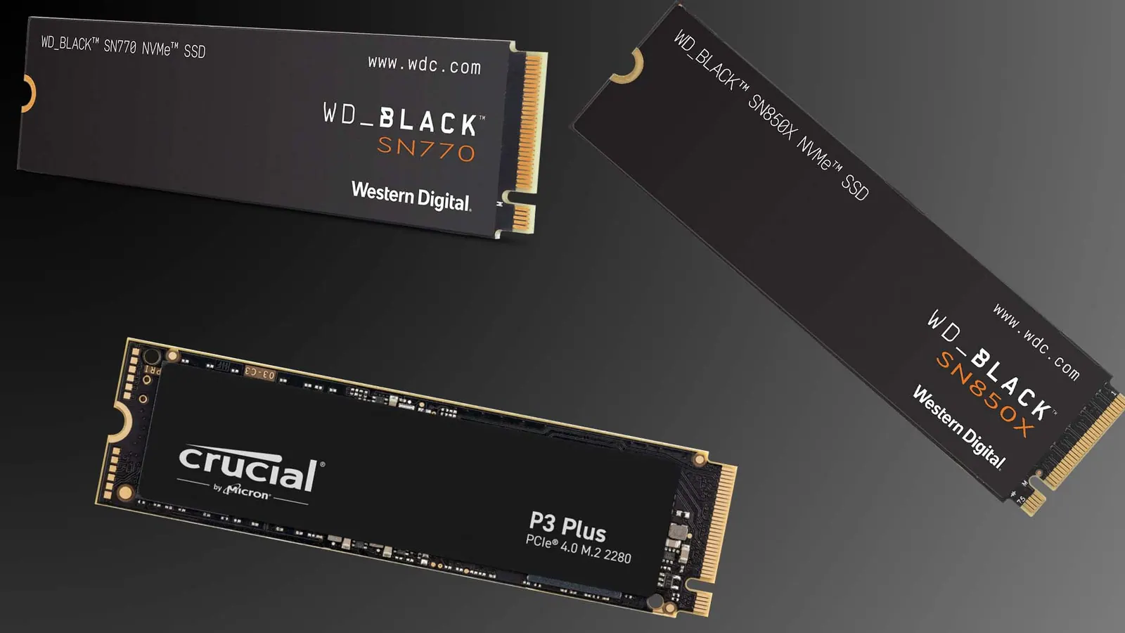 Các ổ SSD NVMe M.2 phổ biến dùng để lưu mô hình AI